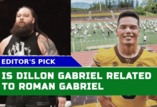 Is Dillon Gabriel Related To Roman Gabriel? Unraveling The Family Connection